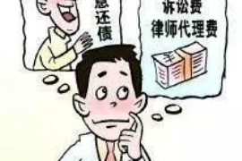 绵阳融资清欠服务